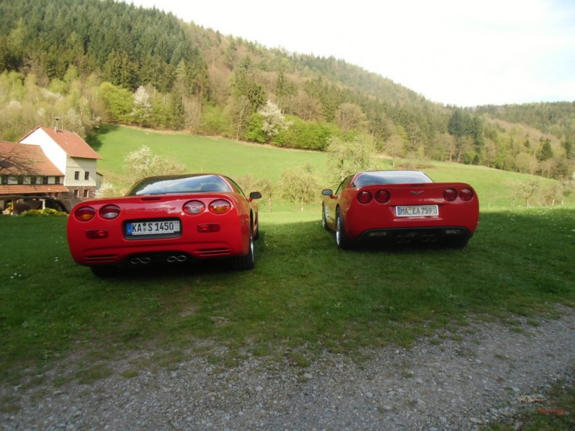 CIMG3956 (FILEminimizer).JPG